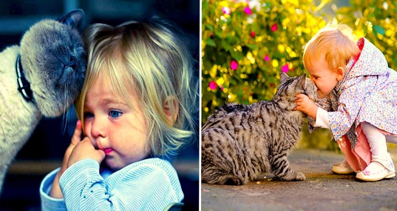 20 photos qui prouvent que les enfants ont besoin d'un chat 21