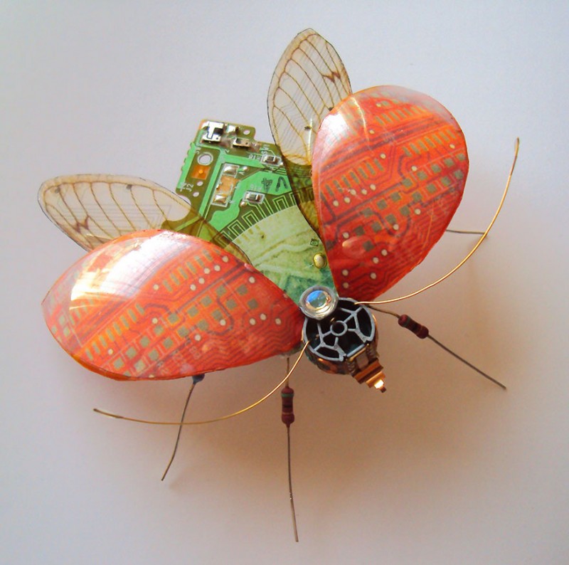 insectes-recycles-circuits-14