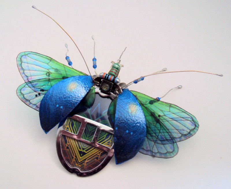 insectes-recycles-circuits-9