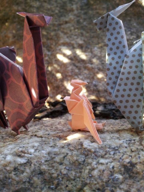 origami14