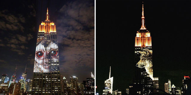 projection-empire-state-espece-animale-6