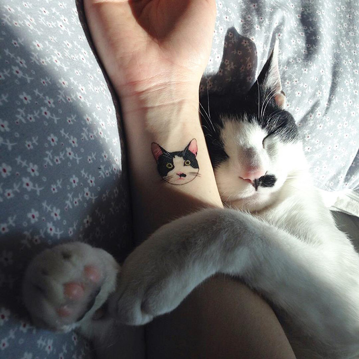 Véritable succès en Corée du Sud, ces mignons petits tatouages de chats sont pourtant interdits 1